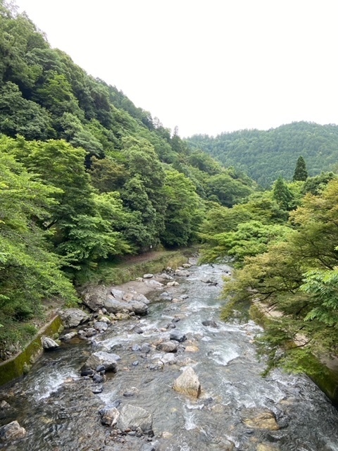 2D7DB6D6-0E08-4CFA-A03A-5FC9849FD378.jpeg