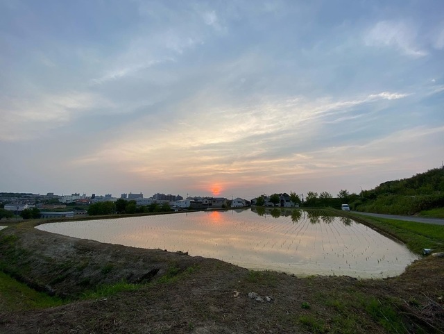 48F62DA4-0138-433D-BBFD-091F893024E9.jpeg