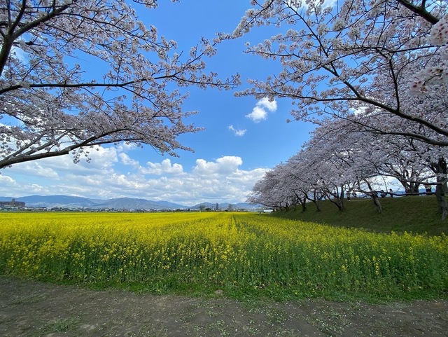 8FF91EE8-FE58-4F7F-ACCA-FF61A10B543A.jpeg