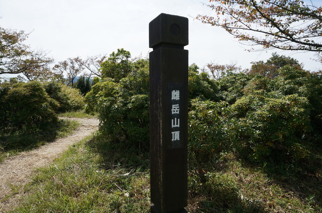 DSC06101.JPG