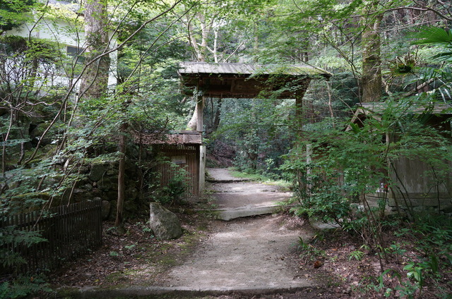 DSC06125.JPG