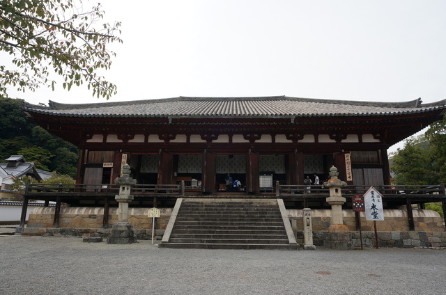 DSC06128.JPG