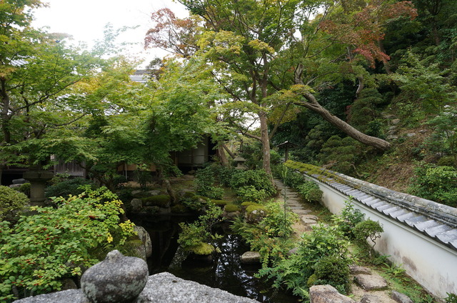 DSC06136.JPG