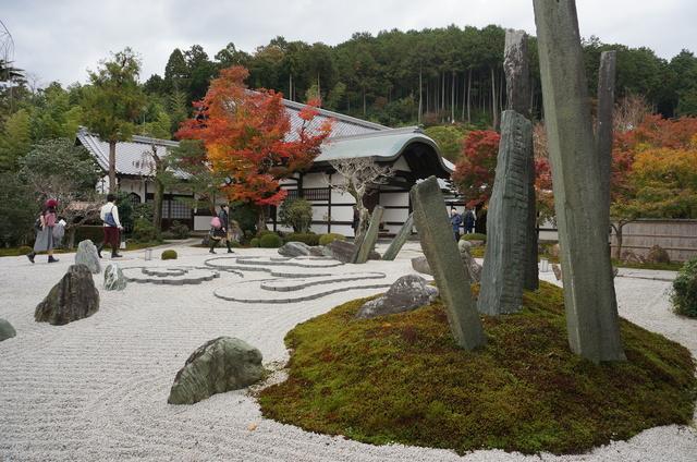 DSC06595.JPG