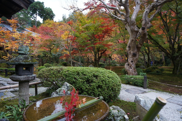 DSC06610.JPG
