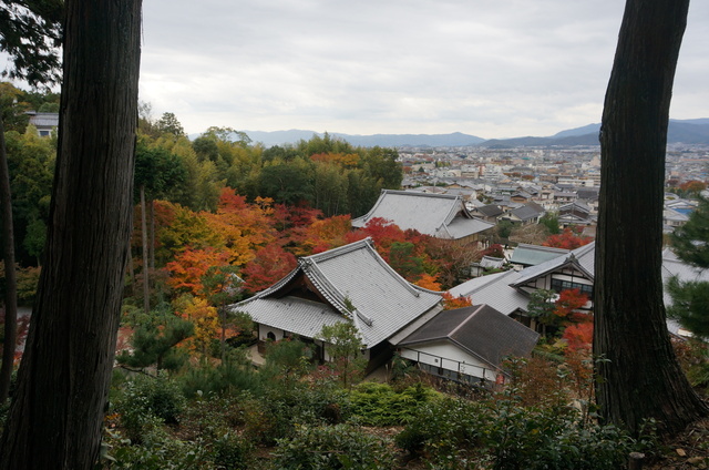 DSC06623.JPG