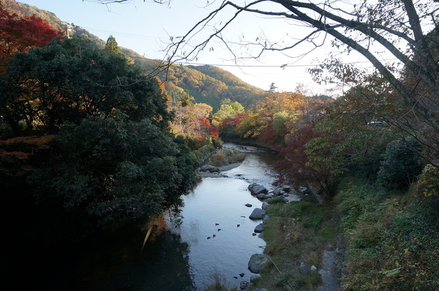 DSC06711.JPG