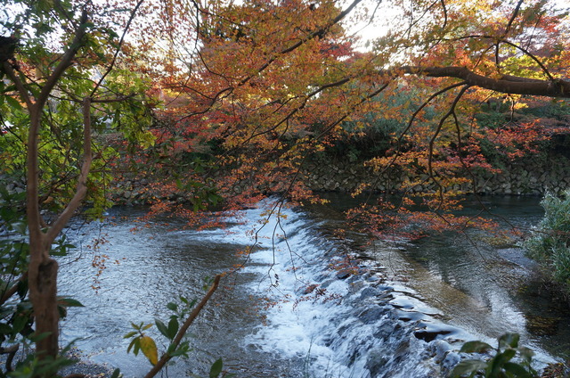 DSC06715.JPG