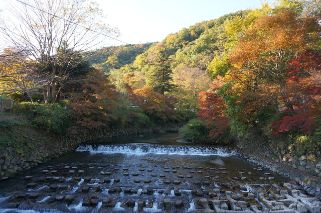 DSC06718.JPG