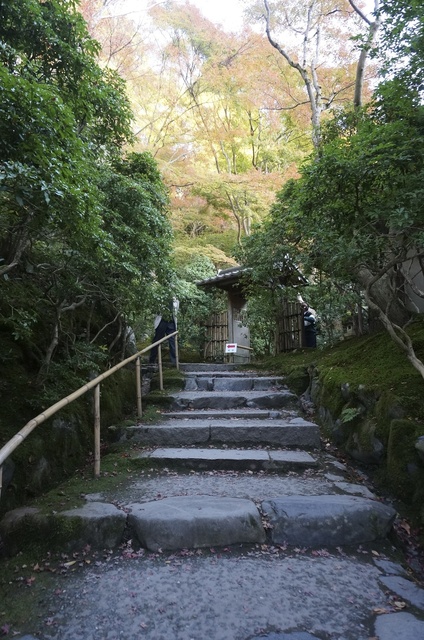 DSC06720.jpg