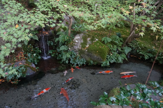 DSC06723.JPG