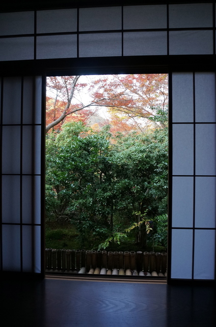 DSC06739.jpg