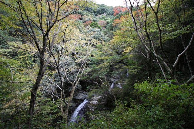 IMG_6035.JPG