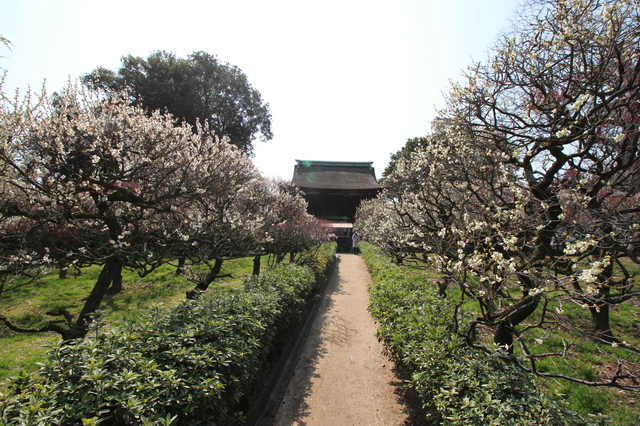IMG_7708.JPG