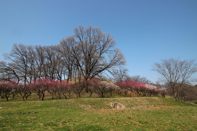 IMG_7725.JPG