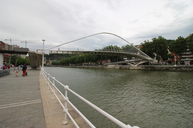 IMG_8372.jpg
